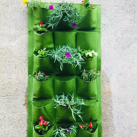 Lejlighed Anna's Lagrasse