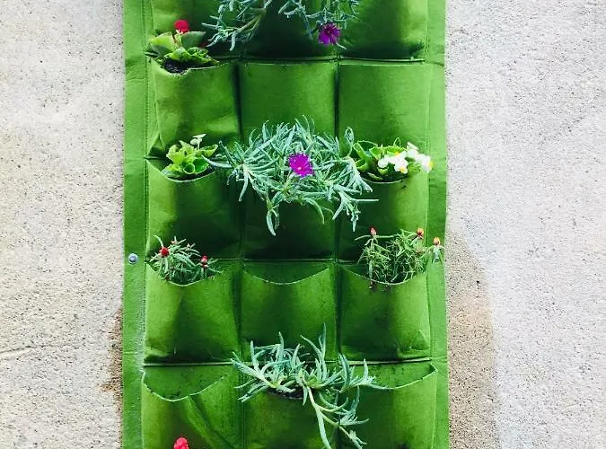 Apartamento Anna's Lagrasse